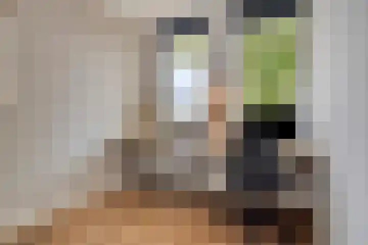 Joannes Zwijsenlaan 16 Oss thumbnail 23
