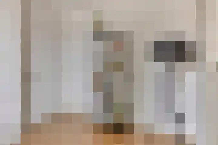 Joannes Zwijsenlaan 16 Oss thumbnail 24