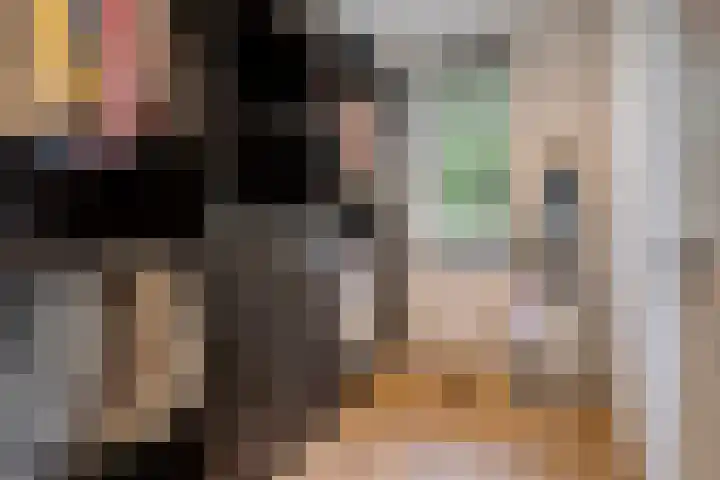 Joannes Zwijsenlaan 16 Oss thumbnail 27