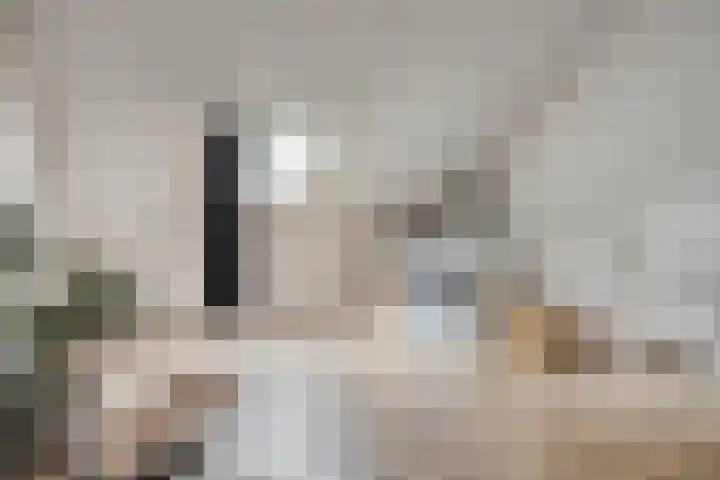 Joannes Zwijsenlaan 16 Oss thumbnail 29