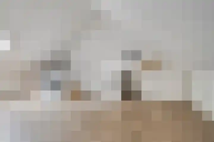 Joannes Zwijsenlaan 16 Oss thumbnail 30