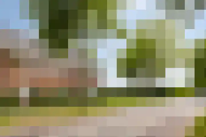 Joannes Zwijsenlaan 16 Oss thumbnail 33