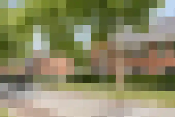 Joannes Zwijsenlaan 16 Oss thumbnail 35