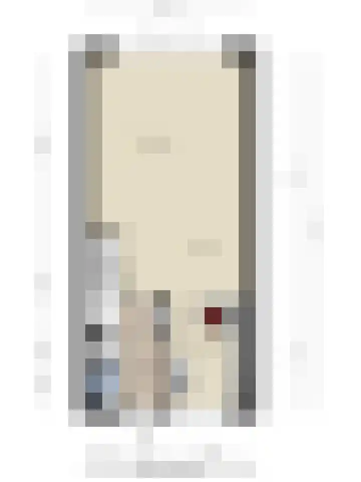 Joannes Zwijsenlaan 16 Oss thumbnail 36