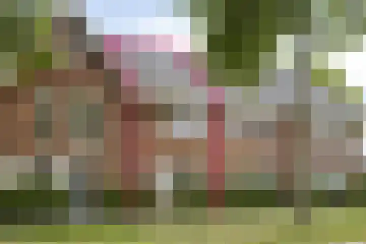 Joannes Zwijsenlaan 16 Oss thumbnail 4