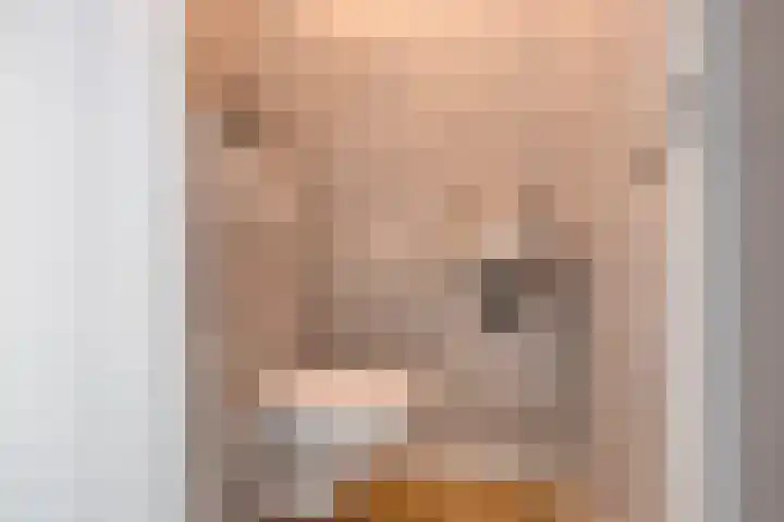 Joannes Zwijsenlaan 16 Oss thumbnail 6
