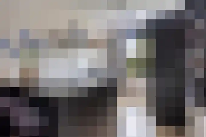 Joannes Zwijsenlaan 16 Oss thumbnail 7