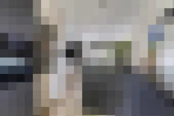 Joannes Zwijsenlaan 16 Oss thumbnail 8