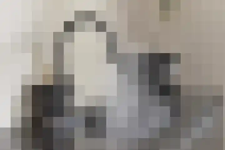 Joannes Zwijsenlaan 16 Oss thumbnail 9