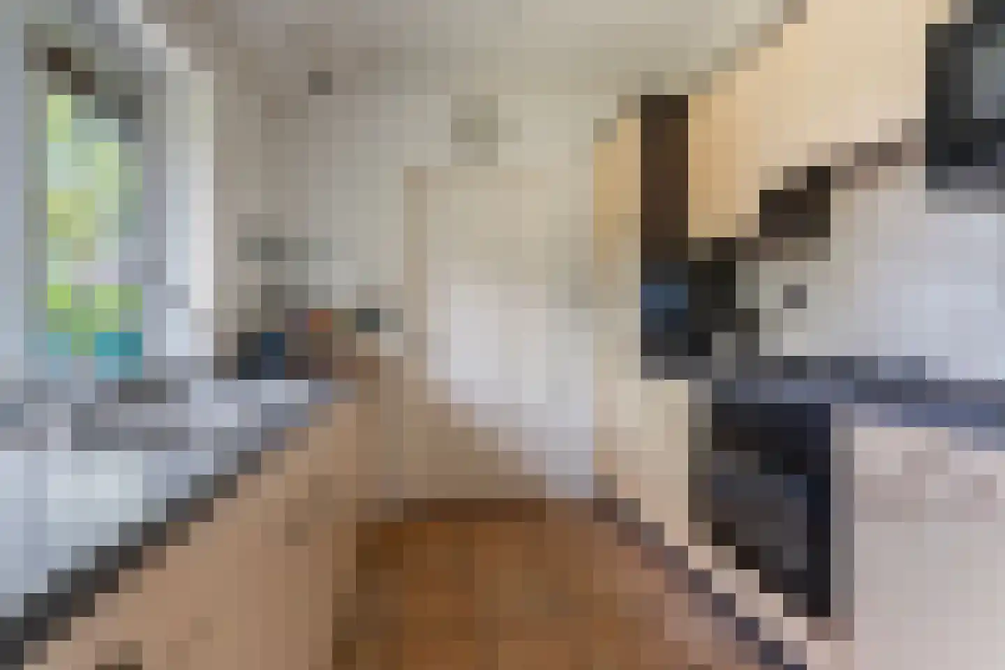 Joanneslaan 1 Heilig Landstichting thumbnail 15