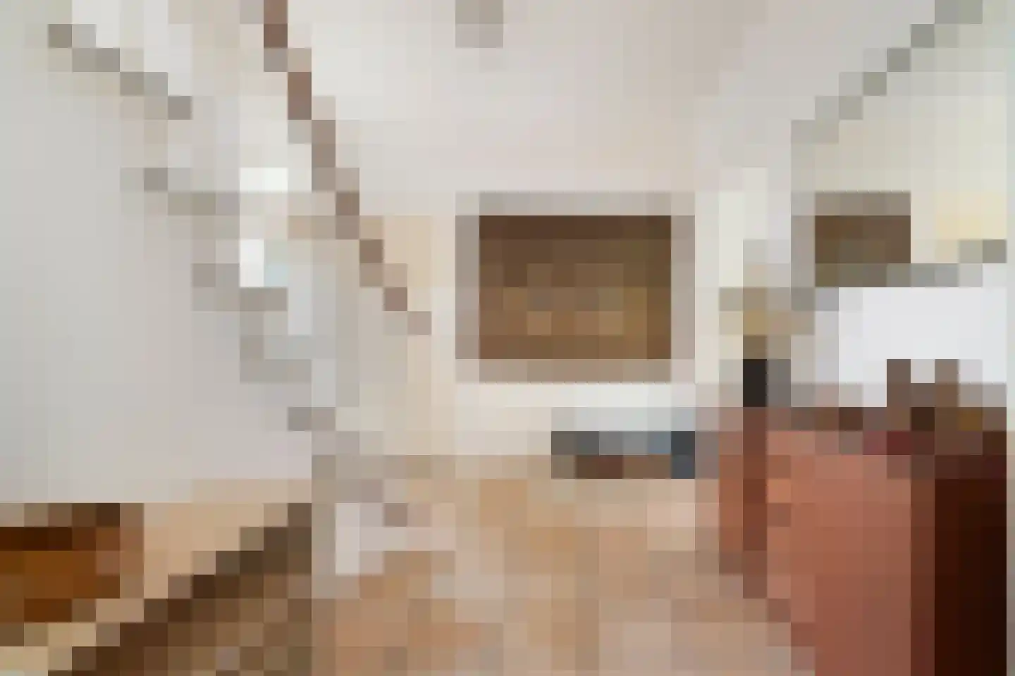 Joanneslaan 1 Heilig Landstichting thumbnail 22
