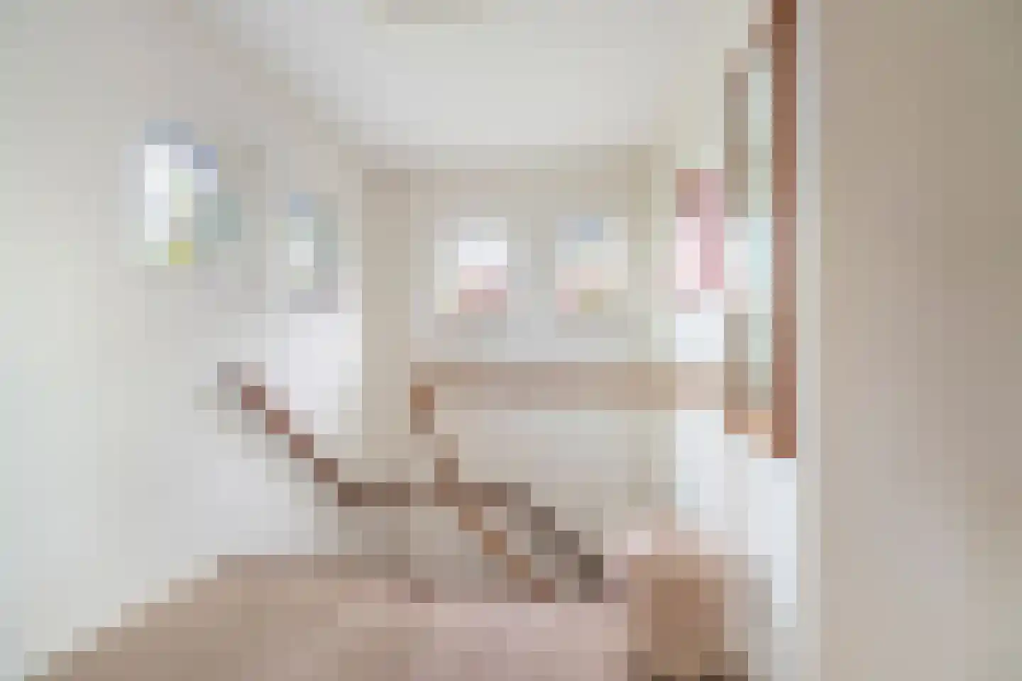 Joanneslaan 1 Heilig Landstichting thumbnail 24