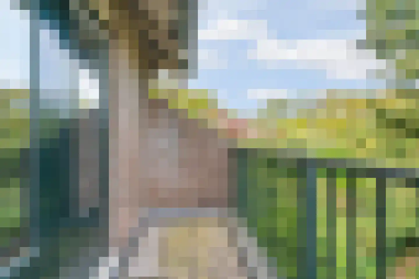 Joanneslaan 1 Heilig Landstichting thumbnail 27