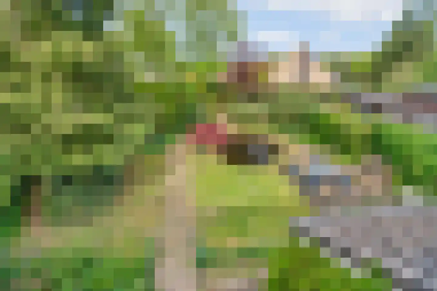Joanneslaan 1 Heilig Landstichting thumbnail 28