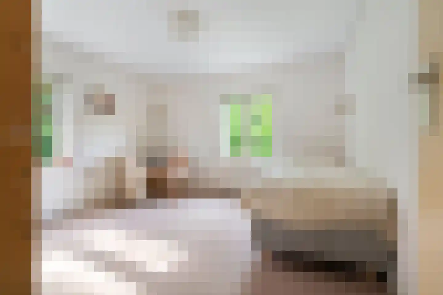 Joanneslaan 1 Heilig Landstichting thumbnail 29