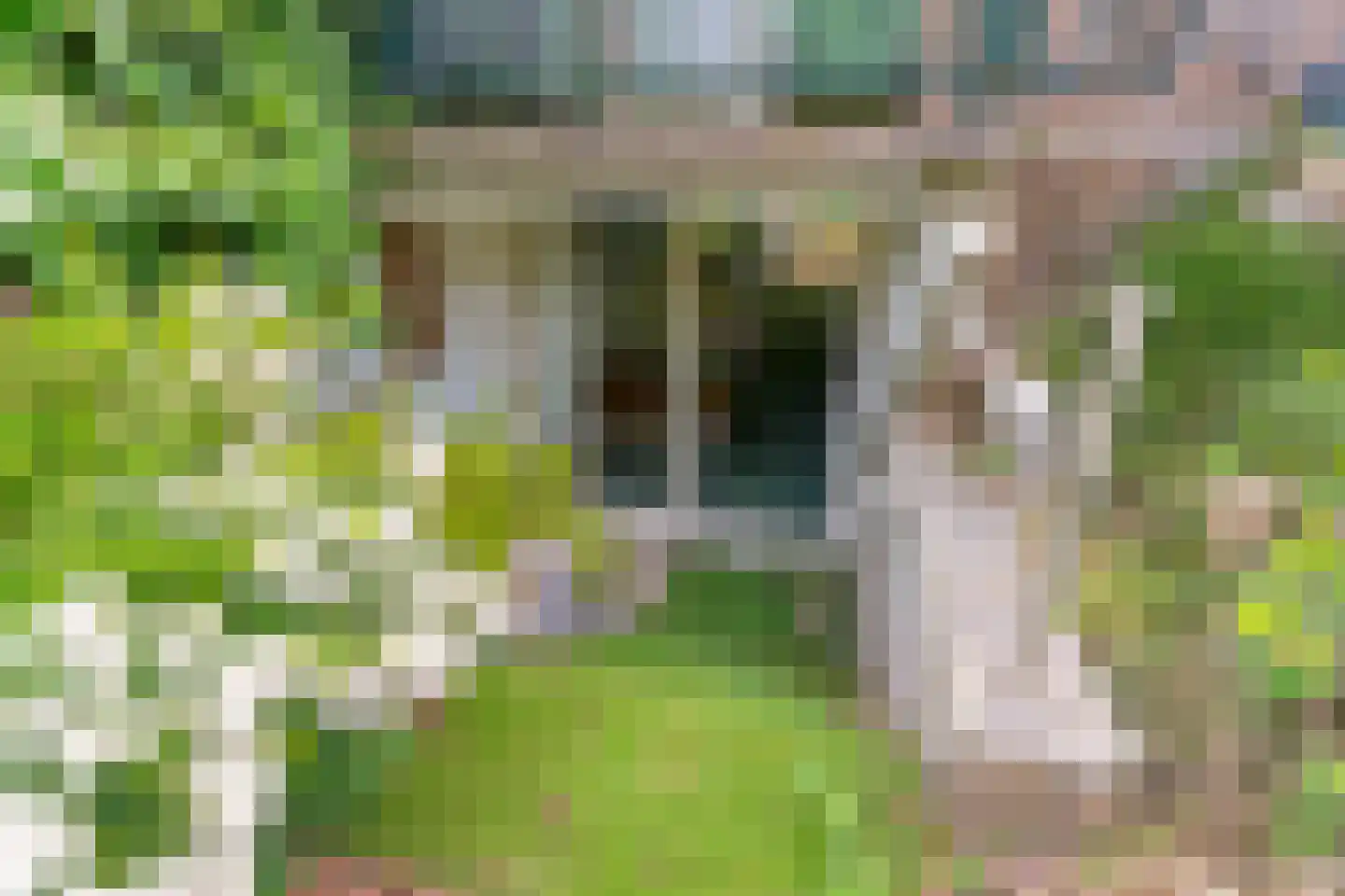 Joanneslaan 1 Heilig Landstichting thumbnail 39