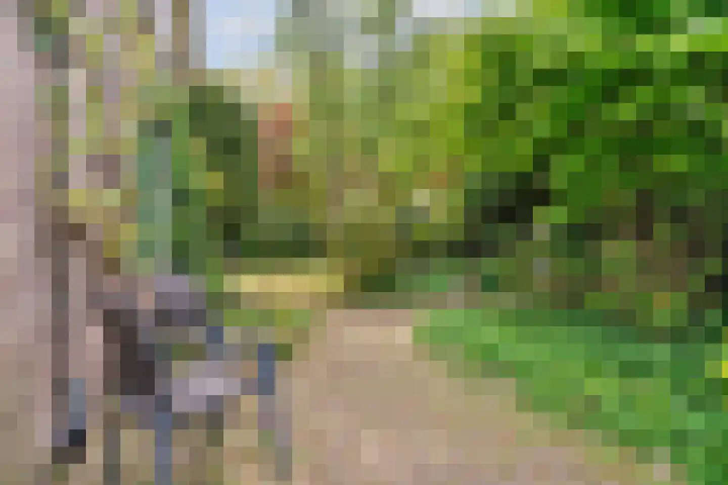 Joanneslaan 1 Heilig Landstichting thumbnail 40