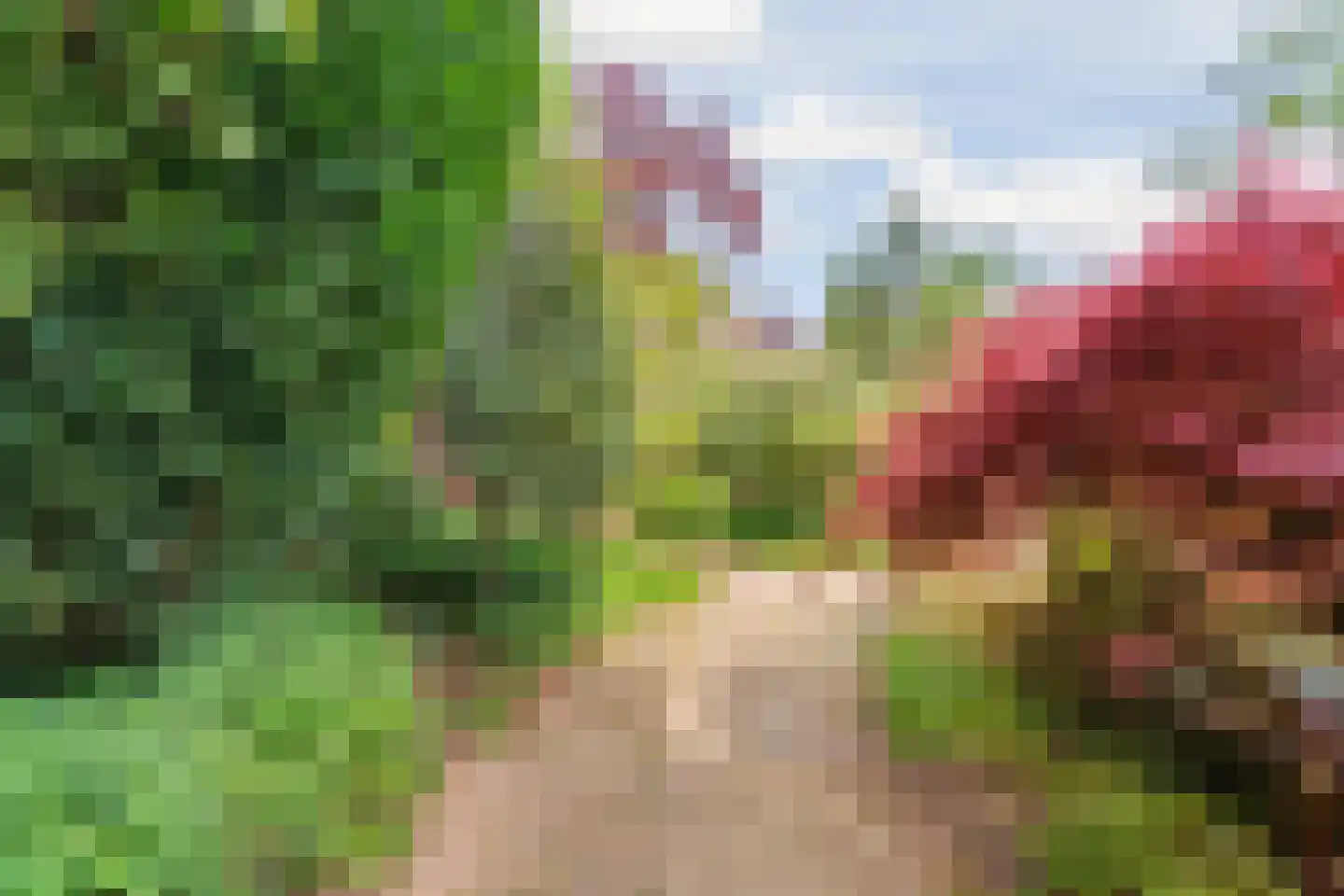 Joanneslaan 1 Heilig Landstichting thumbnail 44