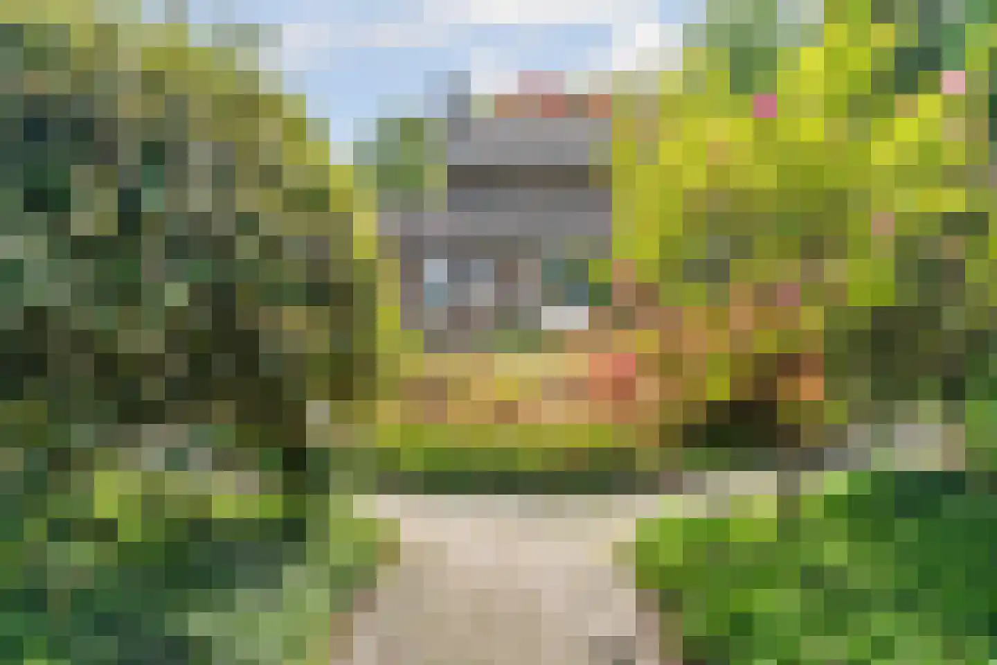 Joanneslaan 1 Heilig Landstichting thumbnail 45