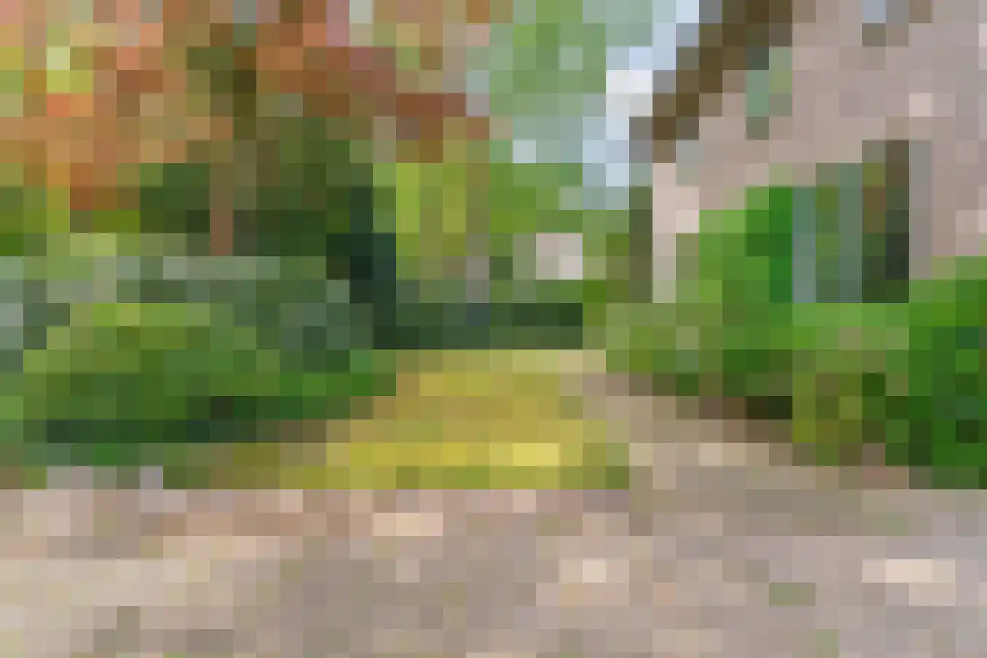 Joanneslaan 1 Heilig Landstichting thumbnail 47