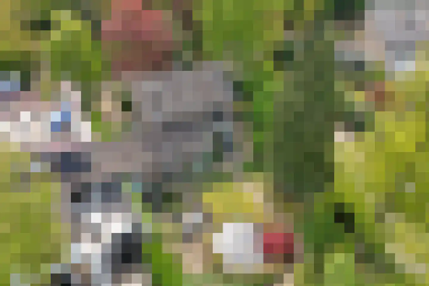 Joanneslaan 1 Heilig Landstichting thumbnail 49