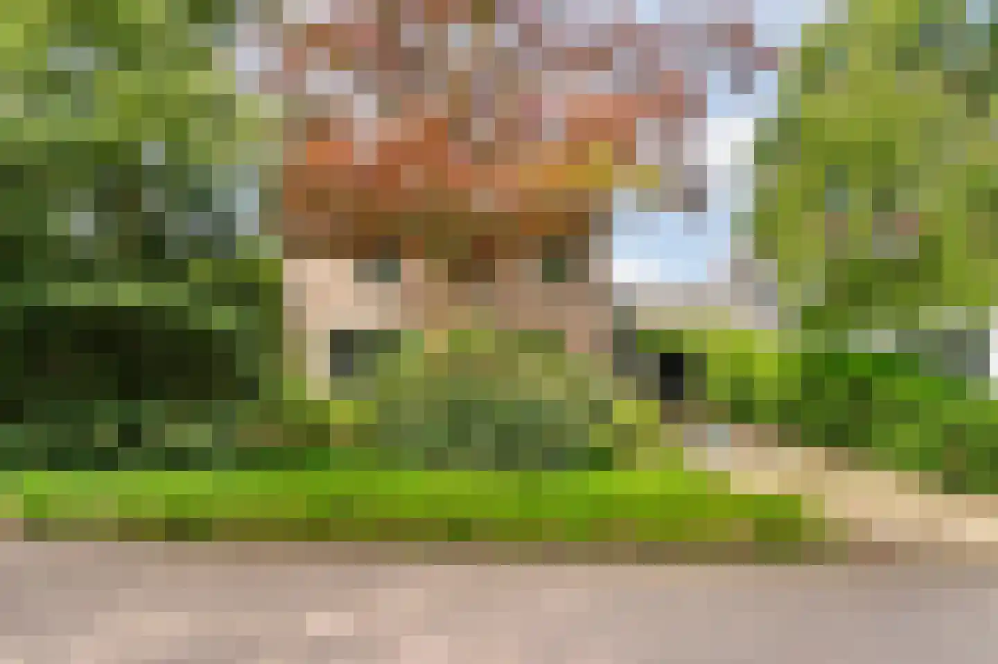 Joanneslaan 1 Heilig Landstichting thumbnail 51