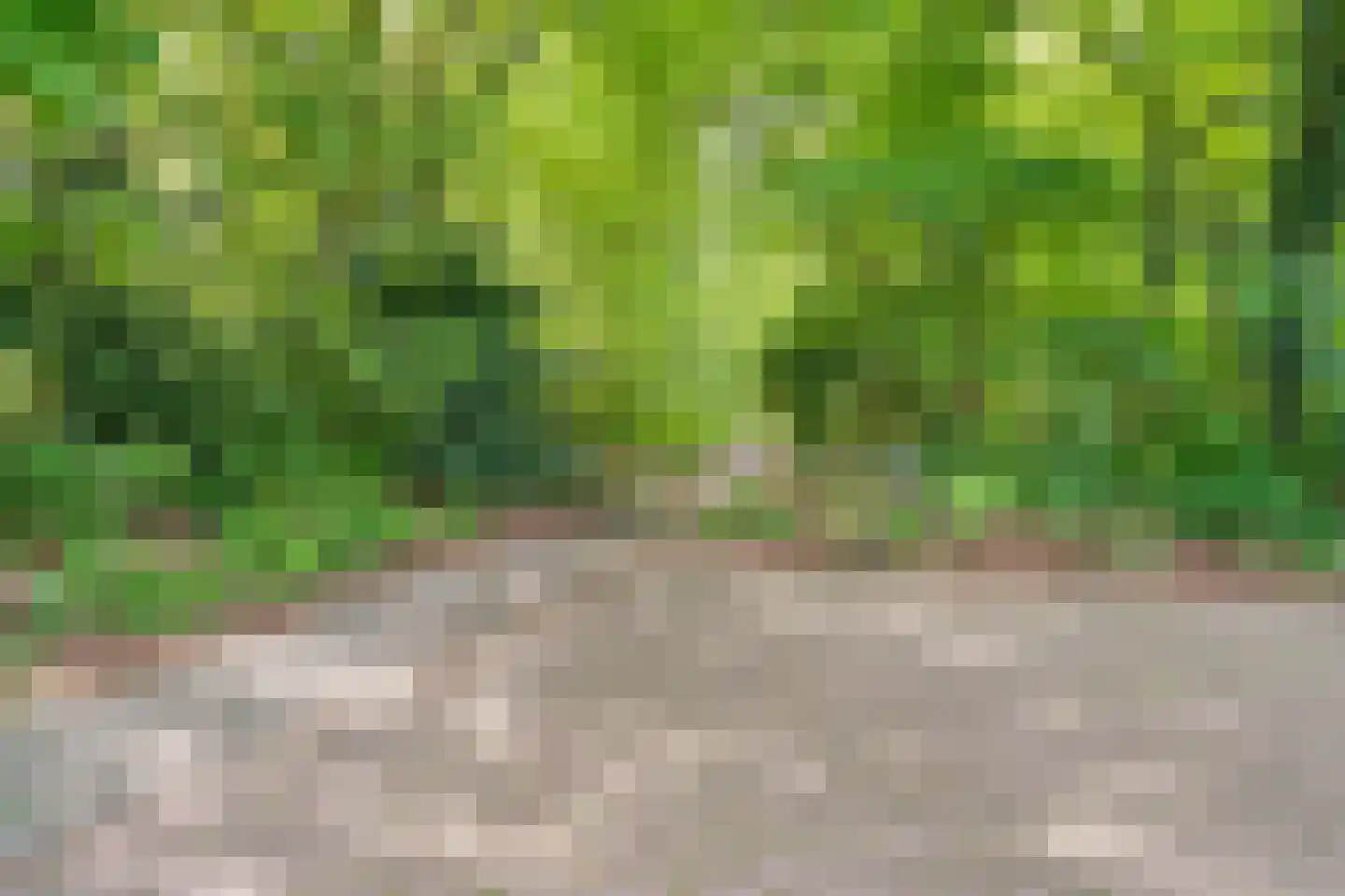 Joanneslaan 1 Heilig Landstichting thumbnail 53