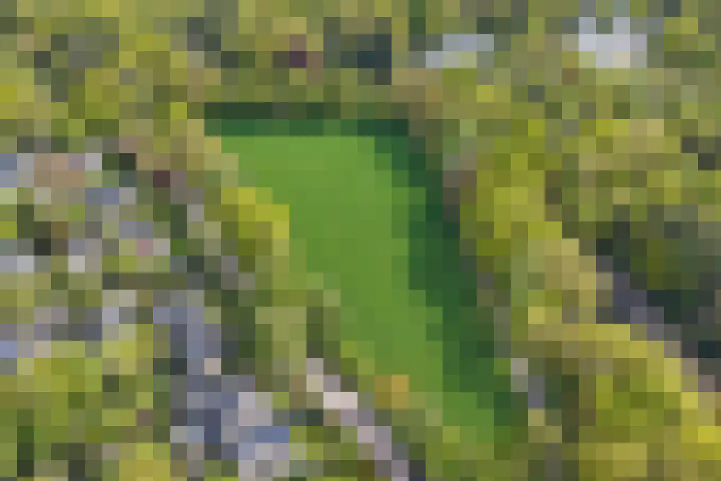 Joanneslaan 1 Heilig Landstichting thumbnail 56