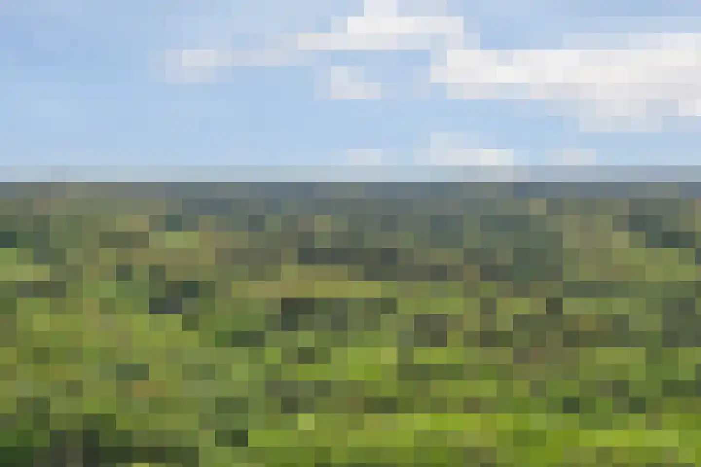 Joanneslaan 1 Heilig Landstichting thumbnail 57