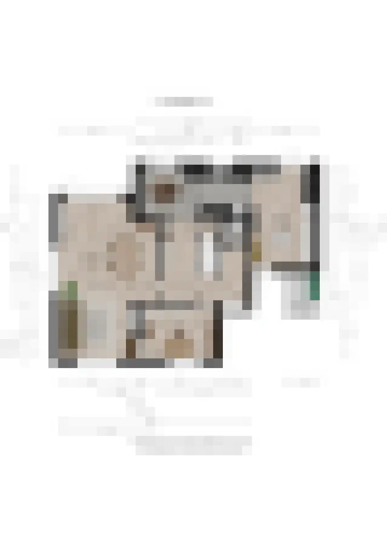 Joanneslaan 1 Heilig Landstichting thumbnail 58