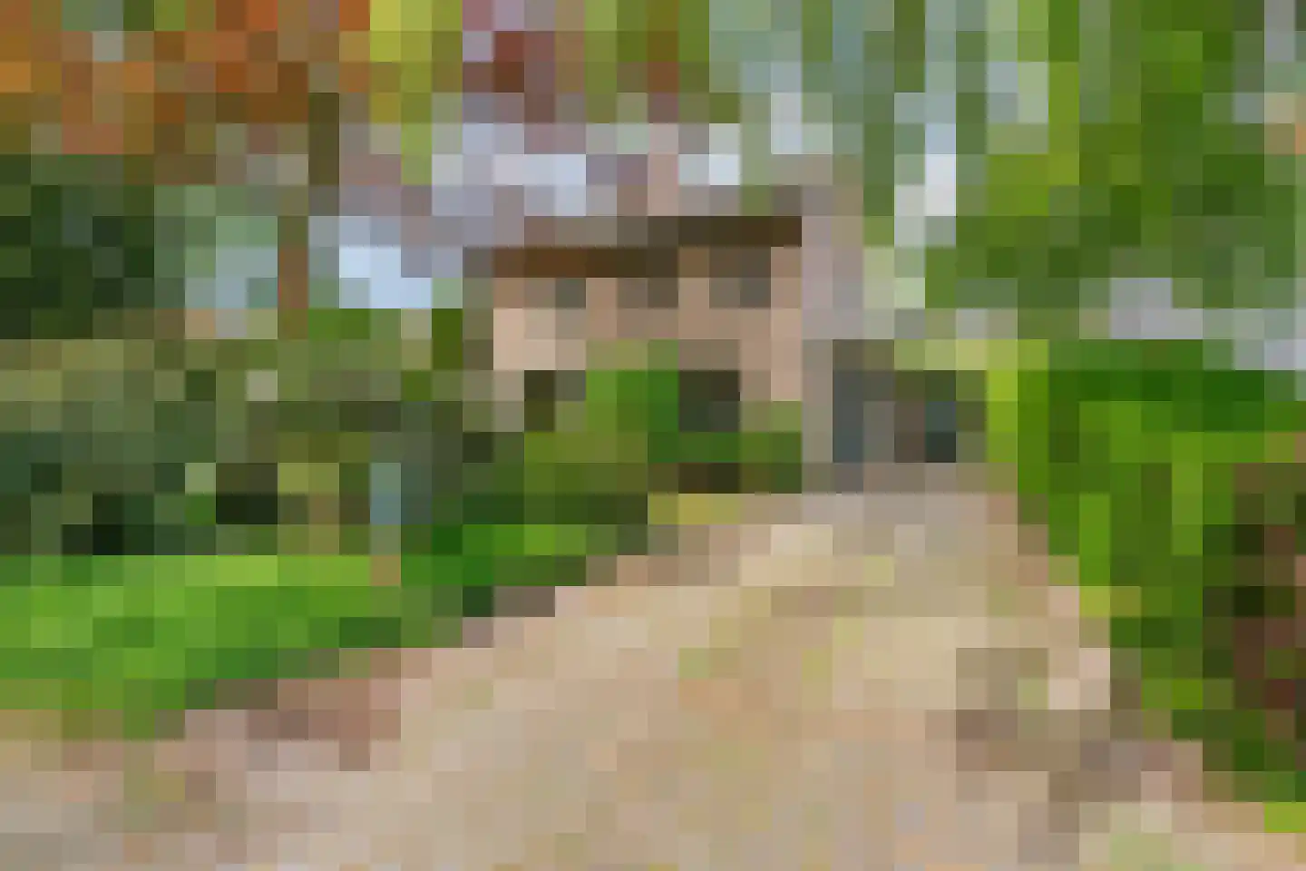 Joanneslaan 1 Heilig Landstichting thumbnail 6
