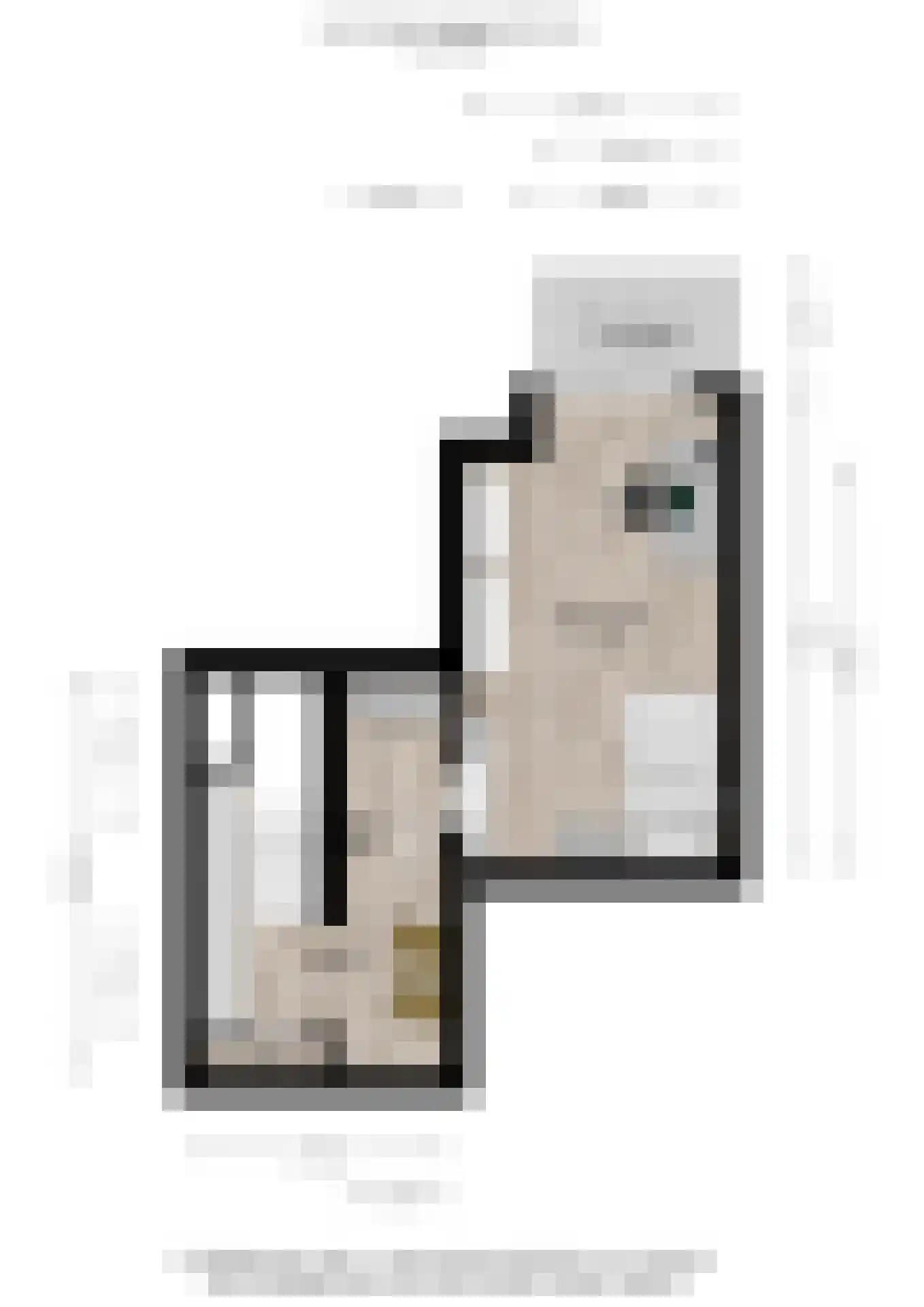 Joanneslaan 1 Heilig Landstichting thumbnail 61