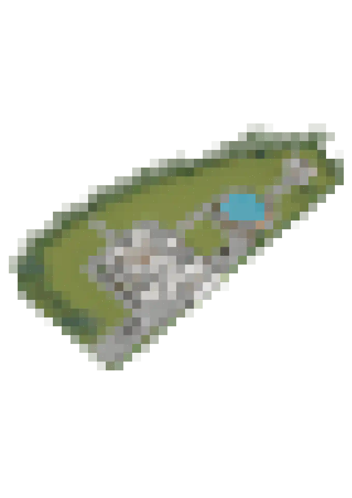 Joanneslaan 1 Heilig Landstichting thumbnail 63