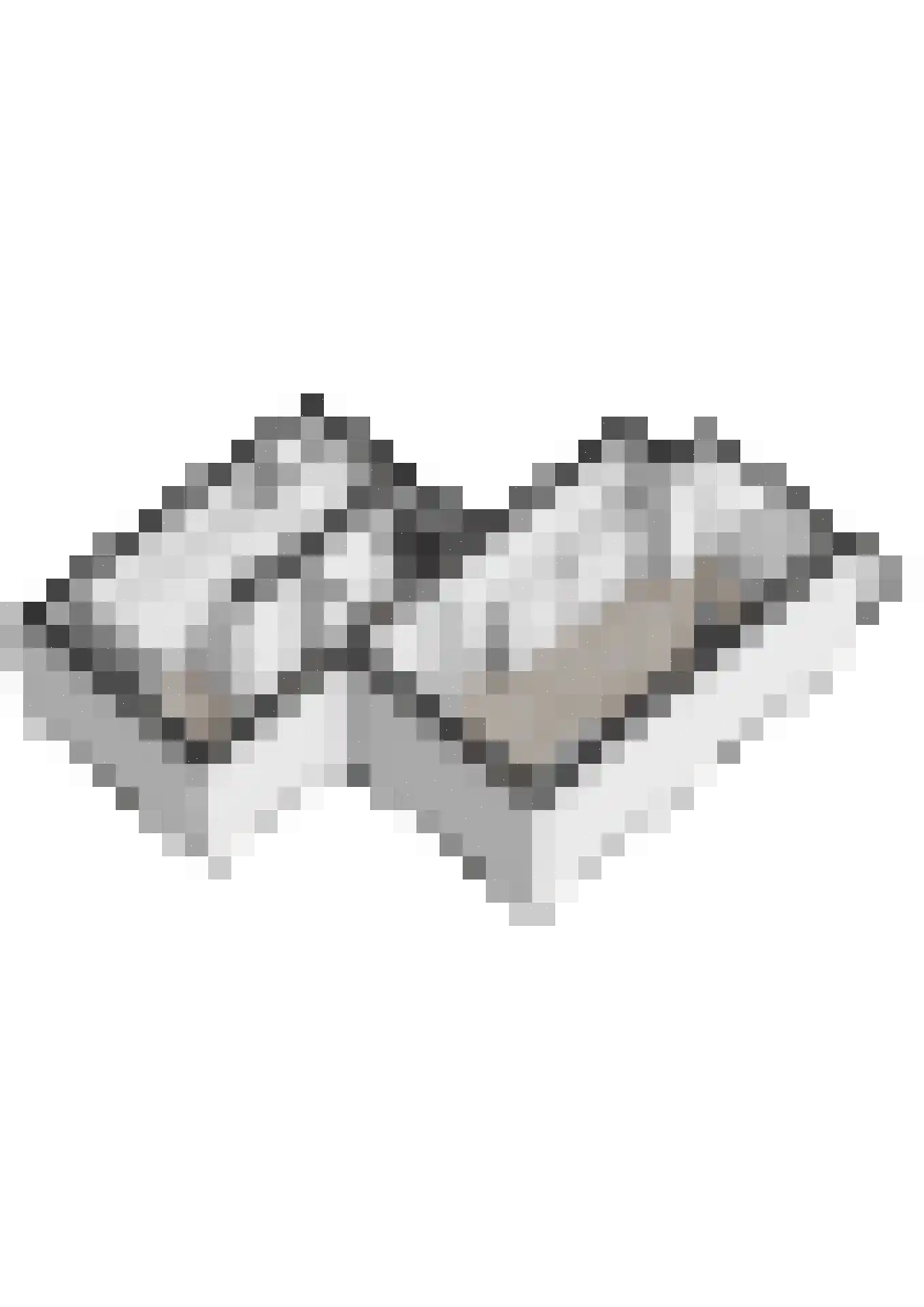 Joanneslaan 1 Heilig Landstichting thumbnail 67