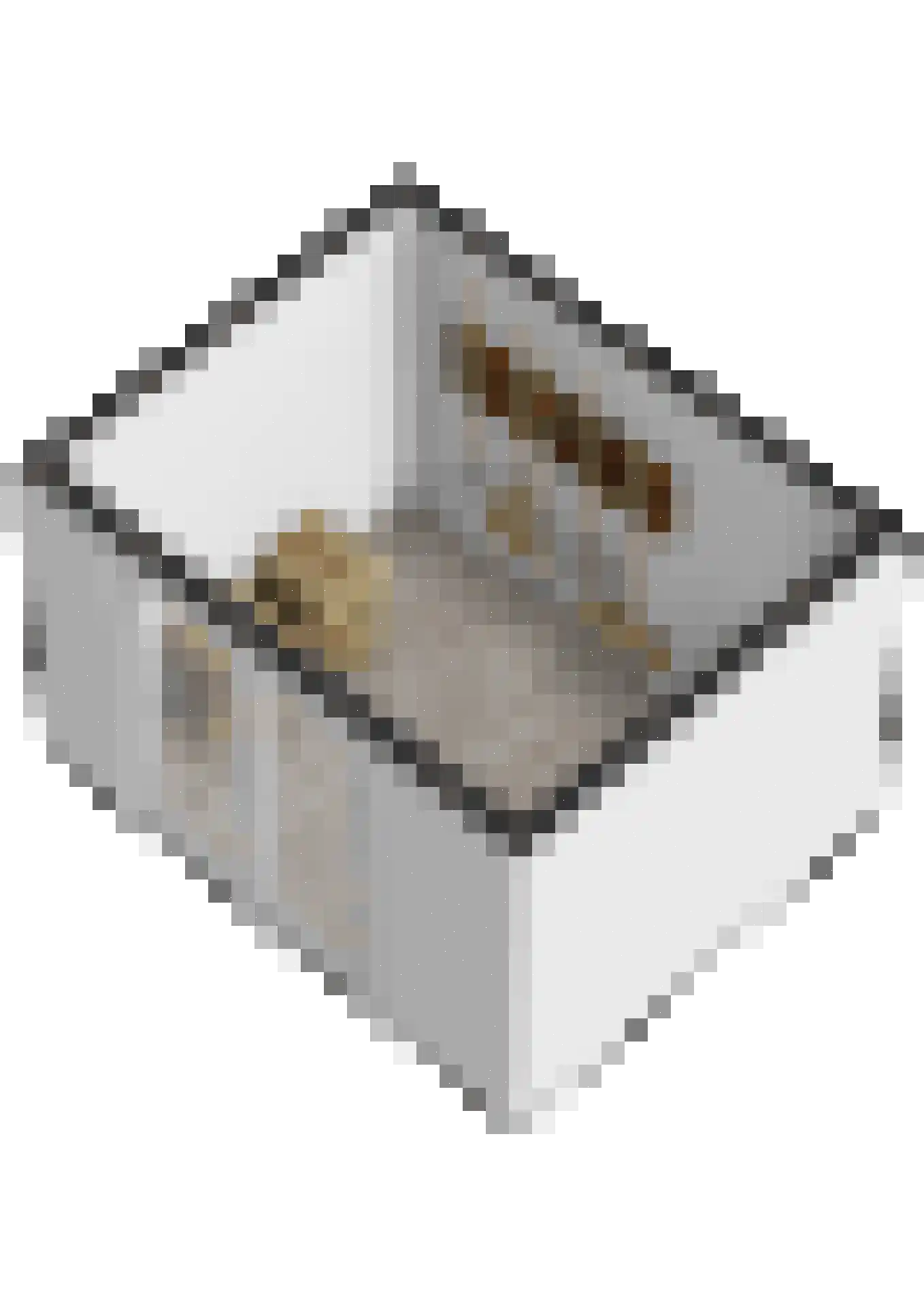 Joanneslaan 1 Heilig Landstichting thumbnail 68
