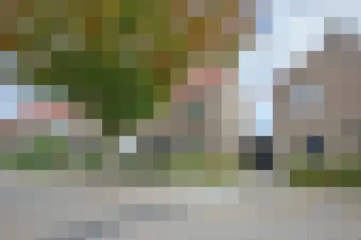 Joannesstraat 43 Geleen thumbnail 8