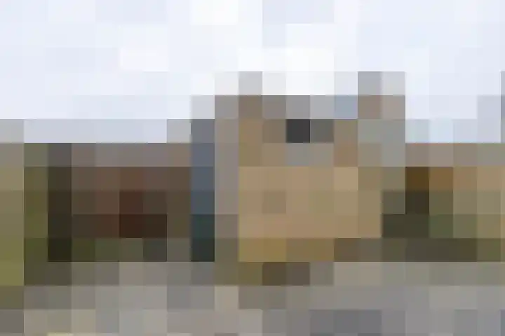 Job Hansenstraat 13 Groningen thumbnail 24