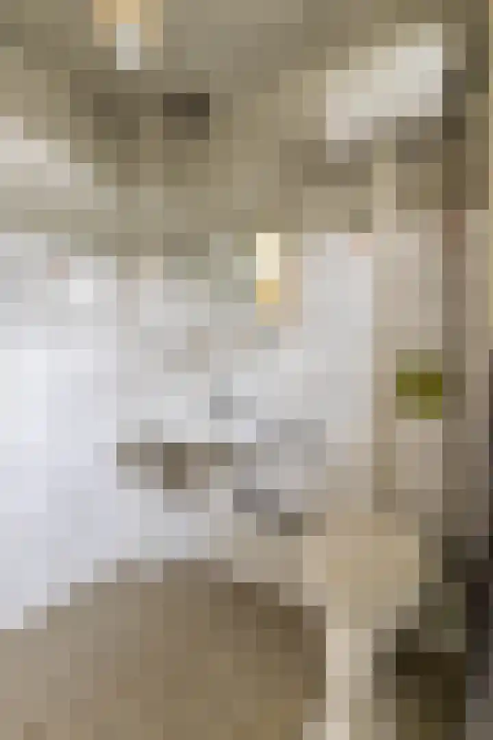 Job Hansenstraat 13 Groningen thumbnail 31