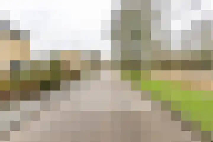 Job Hansenstraat 13 Groningen thumbnail 35