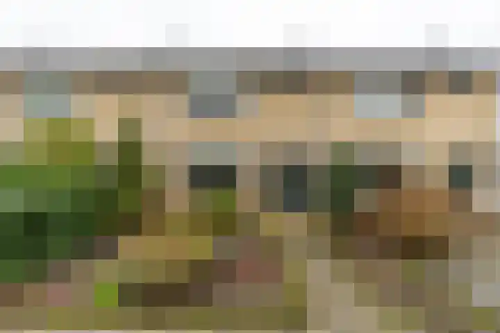 Job Hansenstraat 13 Groningen thumbnail 8