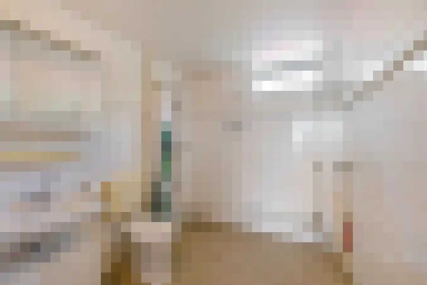 Job Hansenstraat 17 Groningen thumbnail 31