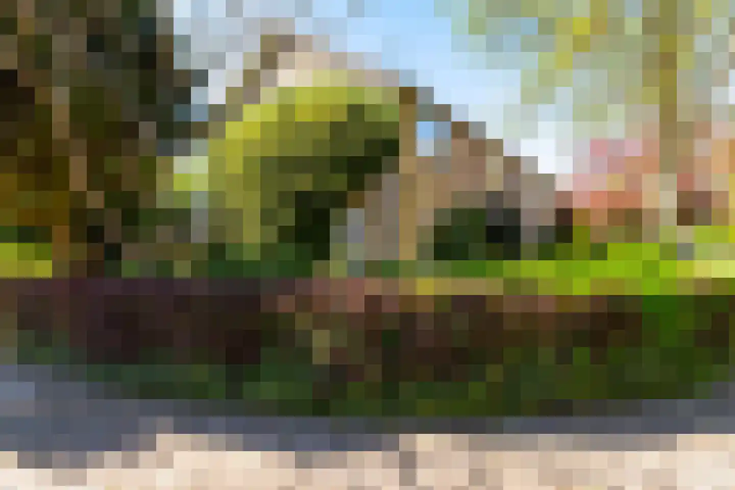 Job Hansenstraat 17 Groningen thumbnail 38