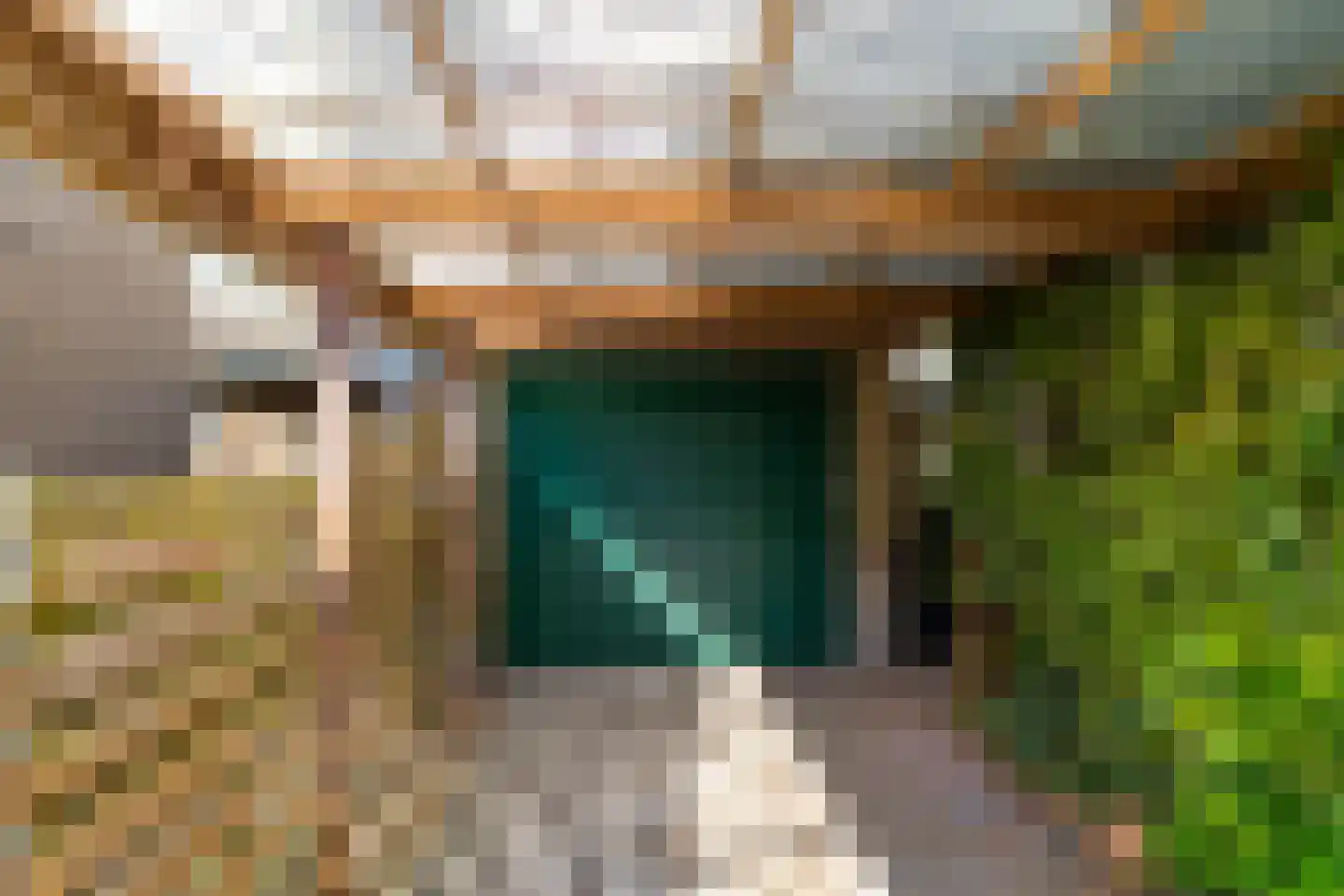 Job Hansenstraat 17 Groningen thumbnail 4