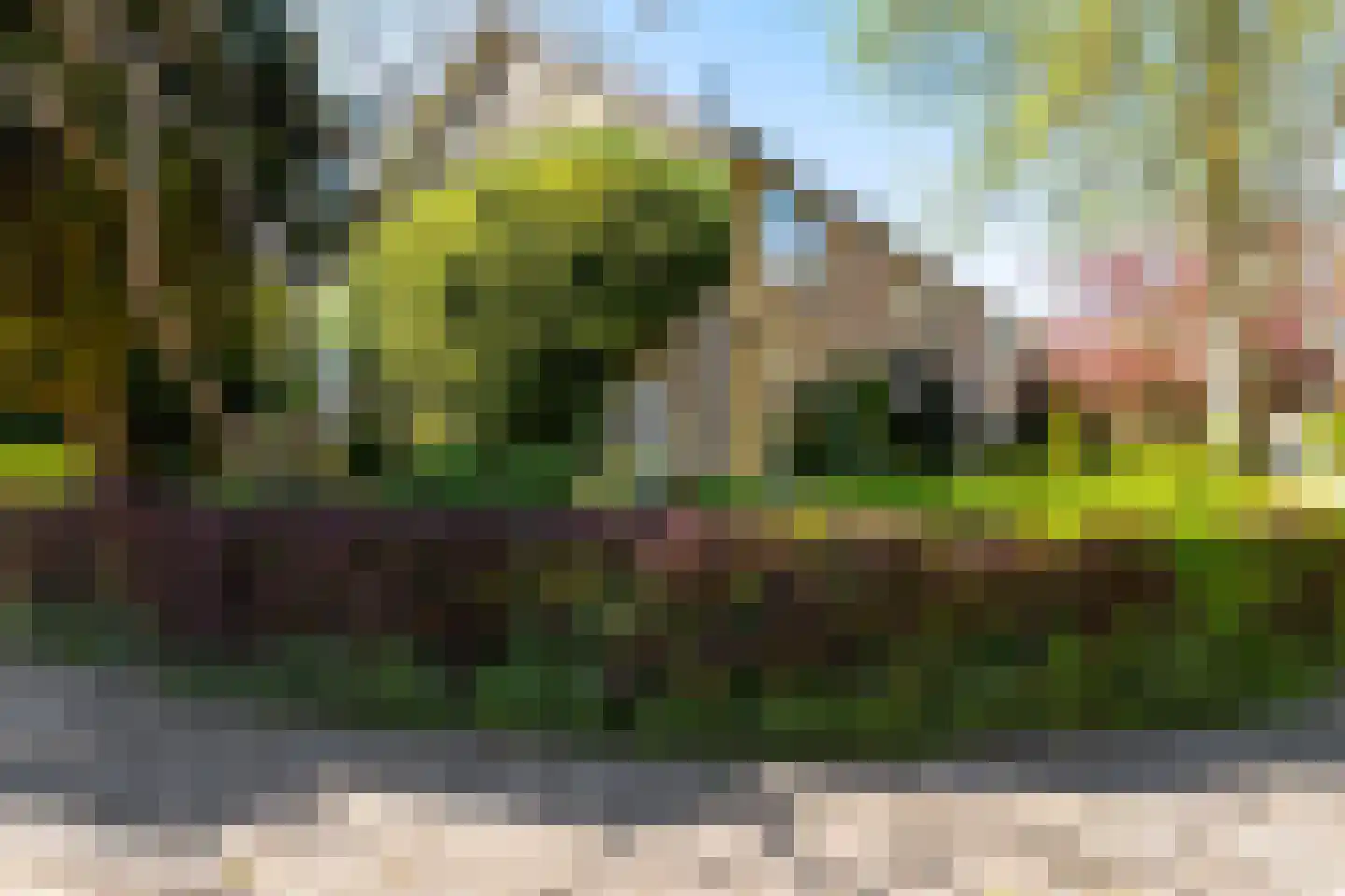 Job Hansenstraat 17 Groningen thumbnail 46