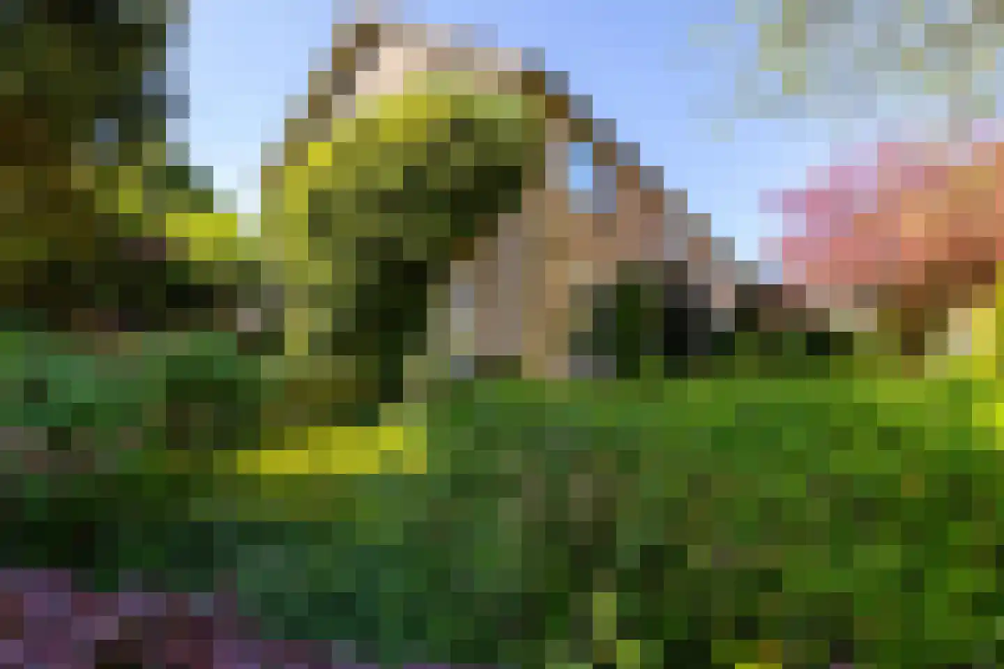 Job Hansenstraat 17 Groningen thumbnail 5