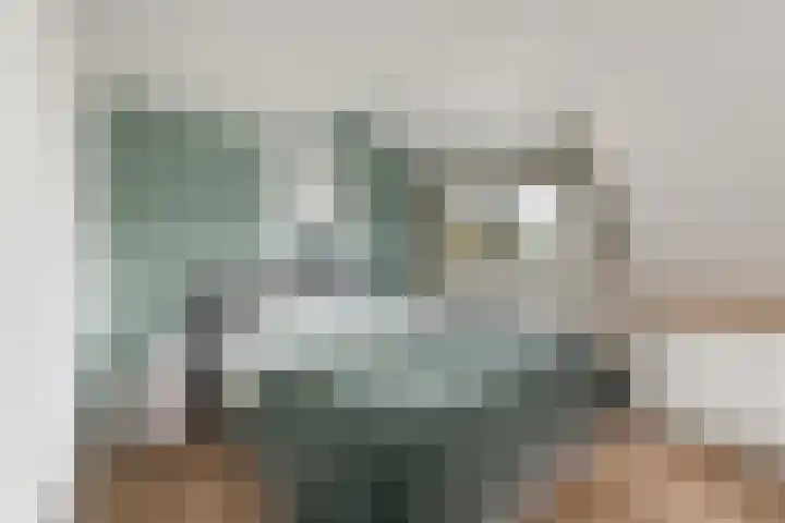 Job van der Havestraat 7 Wilhelminaoord thumbnail 17