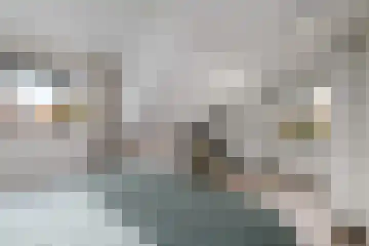 Job van der Havestraat 7 Wilhelminaoord thumbnail 18