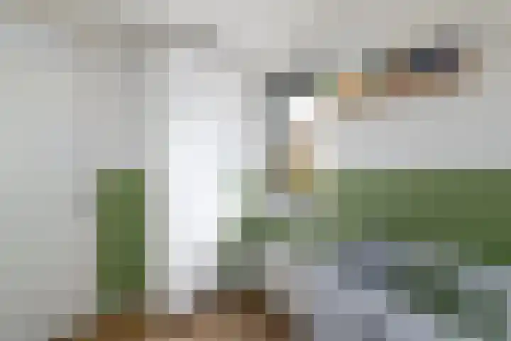 Job van der Havestraat 7 Wilhelminaoord thumbnail 22