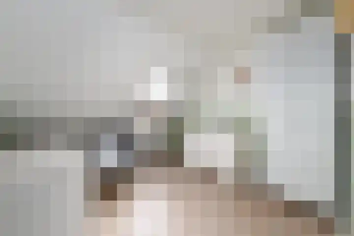 Job van der Havestraat 7 Wilhelminaoord thumbnail 23