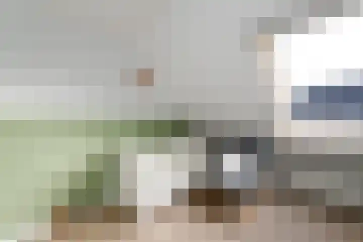 Job van der Havestraat 7 Wilhelminaoord thumbnail 24